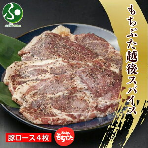 ԂzXpCX 4 ؓ  Ԃ    t t  Mtg Hו av[g Ă  Mtg т̂  set yY VyY zG 