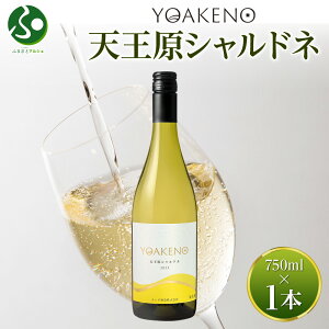 YOAKENO VVhl 750ml f C Vhl C h ʎ   ΕMtg  ΕMtg Lv BBQ o[xL[ gift p av[g N