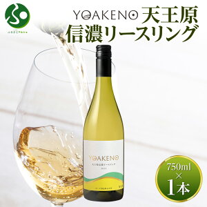 YOAKENOVMZ[XO 750ml f C [XO C hV̓v[g ăMtg c Mtg  hV̓Mtg ʎ   Lv BBQ o