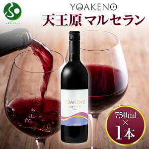 YOAKENOV}Z 750ml f ԃC ăMtg  hV̓Mtg  ʎ hV̓ v[g c gift yY R Lv BBQ o[xL[ p[eB[ 
