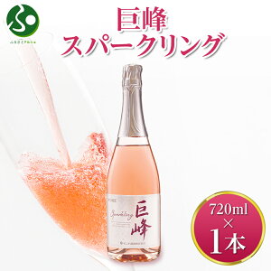 Xp[NO 720ml f Xp[NO C ăMtg   hV̓Mtg Ԃǂ ʎ  hV̓v[g c gift set yY R Lv BBQ 