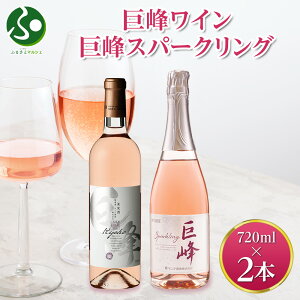 巨峰ワイン 巨峰スパークリング 720ml 2本セット モンデ酒造 ワイン お酒 送料無料 お歳暮ギフト 果実酒 御歳暮ギフト 晩酌 宅飲み キャンプ BBQ パーティー 誕生日プレゼント 年末年始 お正月