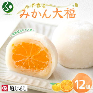 䂸݂啟 MtgBOX 6/12 t[c啟 ݂ aَq Mtg fU[g XC[c 啟 Mtg Ⓚ Ε Ε Mtg XC[c 񂹃XC[c T󐻉  k