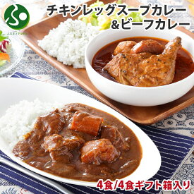 弟子屈 ビーフカレー チキンレッグスープカレー 各2食 2種セット(ギフト箱あり/なし)(レトルトカレー ギフト お土産 北海道 スープカレーセット お取り寄せグルメ 送料無料 レトルト食品 冬ギフト 食べ物 プレゼント gift set 北国からの贈り物)