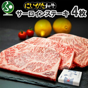 Mtg a VY ɂa T[CXe[L 200g i2/4j  Y  Mtg  V  ~ A4 A5 Ԑg ō 싛 T[C Xe[L  Ⓚ O Hו 