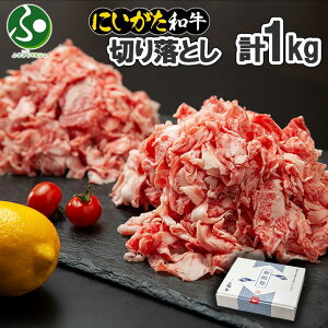 Mtg a VY ɂa ؂藎Ƃ i500g/1kgj  Ă Y   V  ~ A4 A5  ō 싛 Ⓚ a Gift a 񂹃O ɏ  蕨 