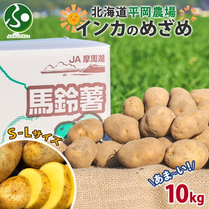kC _ CĴ߂(SML) 5kg 10kg 񂩂̖ڊo Ⴊ WKC |eg   C  O { Nx Mtg Yn Y  i 蕨 ① _