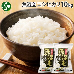 yߘa6NYz Y RVqJ A i5kg/5kg/10kg/10kgj VY ~ n Ђ 5kg 10kg VY A    ȒP y   ͂  