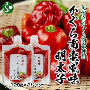 q   120g x2 ߂񂽂 Lq 炱  _y hq gEKV т̂ hV̓ Mtg Hו CN hV̓ v[g `[uq y CY y