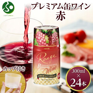 v~AʃC  300ml 24{ f ʃC ԃC ʎ pJbvt  ăMtg c hV̓ Mtg C hV̓ v[g  RY }XJbg