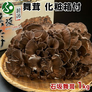  ϔt(΍║ 1kg/ 700g)( ܂ p }C^P i   n  O hV̓Mtg ăMtg Hו Mtg hV̓v[g Hi 