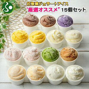 [ޓb WF[gACX 15 eZbg(َq ΕMtg XC[c Mtg ACX N[  ΕMtg O n ACX kC yY Hו av[g 