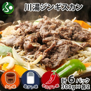 쓒 WMXJ //h 2p/3p/4p/6p eZbg(  hV̓ Mtg Hו hV̓v[g  O kC yY  }g r WMXJ ^ ē 