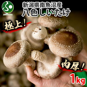 VY 싛 F 1kg Yn Y   VC^P  o[xL[ H a v[g  ΕMtg Hו ΕMtg ő  ő 