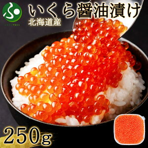 XŎIkCY肢ݖ(250g/500g)I  jZRX Ɛ CN CNMtg kCY   ΕMtg Hו ΕMtg yY kCyY CY gi