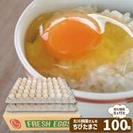 ちびたま100個 割れ補償8個付き 送料込みサイズS 千葉県産 鶏卵 卵 たまご お取寄せ 生 お土産 北川鶏園