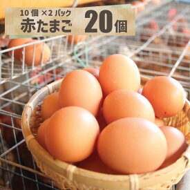 赤たまご お菓子にも最適！その名もルージュ 20個新鮮 千葉 鶏卵 たまご 卵 お土産 お取寄せ 北川鶏園 黄身まろやかでございます