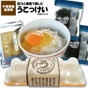 楽天市場 千葉県産 房のたまご 通心販売 房の駅 楽天市場 千葉県産 房のたまご 通心販売 房の駅