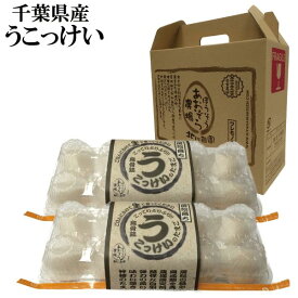 うこっけいの卵20個入 千葉県産 鶏卵 卵 うこっけい たまご お取寄せ 生 お土産