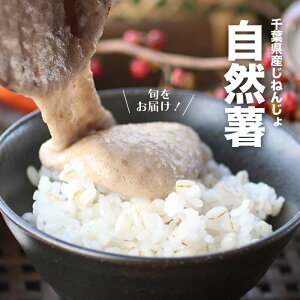 R ˂񂶂 tY {Bݍ͔| tY Y {  Ε N _Y  蕨 G 