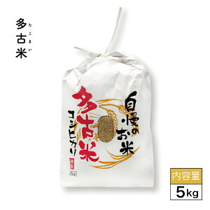 V Õ 5kg ߘa7NxY  [̉w  5kg Mtg p    RVqJ tY ÎY