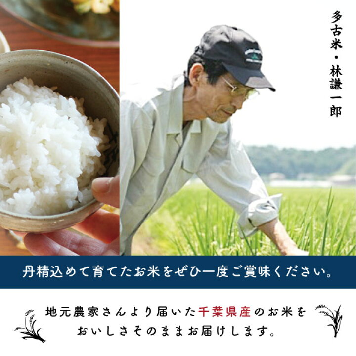 楽天市場】多古米10kg 令和7年度産 送料込千葉県産 国産 お米 ギフト 