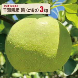 yz3kg tY   蕨 ʕ Mtg tyY nO { ʕ H 蕨 Mtg