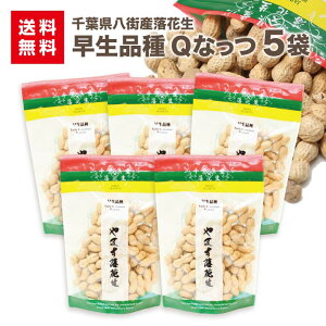 Ԑ QȂ 165g×5ܐt XY {B s[ic  ܂ Y |Ԑ 肴  ̓Ε N  ̓ ߕ VN A Mtg ܂  