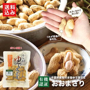 L@tł܂ 1ܐtYł󏭂ȗL@͔|Bn㉖䥂łɁBfJƐH׉lCBOrganically grown peanuts of the ?masari variety, about twice the size of regular peanuts, offering an exce