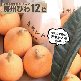 千葉県富浦産　房州びわ2Lサイズ露地栽培のびわ出荷開始！南房総 びわ 送料込み お取寄せ 贈答 プレゼント 母の日 お土産 旬 千葉みやげ 父の日 お取り寄せ ギフト 千葉 ご当地 グルメ