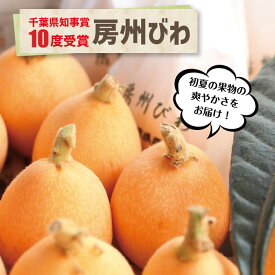 千葉県富浦産 房州びわ箱温室栽培のびわ出荷開始！贈り物 送料込み 南房総 びわ 母の日 プレゼント 贈答 旬 果物 千葉みやげ 父の日 父 ご当地 お取り寄せ ギフト 千葉 ご当地 グルメ