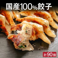 餃子 ぎょうざ ギョウザ ギョーザ 中華 冷凍 冷凍生餃子 冷凍餃子 国内生産 国産 国産100％ 国産原料使用…