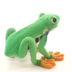 楽天市場 アカメアマガエル 販売の通販
