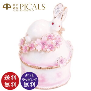 PICALS WGV[Y ETMƍ  EX456-1isJXKi Δ   e rbg ANZT[P[X WG[P[X WG[{bNXj[z֔zi[ւ