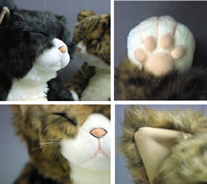 楽天市場】Cuddly(カドリー） ピンカートン 猫 ぬいぐるみ 茶トラ 