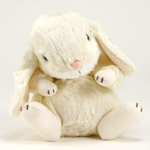 X^[`Ch@̃bvC[@MTCY@AC{[yS̓{ʂ݁z[z֔zi[ւƃlR|X͕sj]