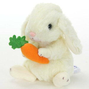 X^[`ChyS̓{ʂ݁z ̃bvC[@Lbg@AC{[izCgj[z֔zi[ւƃlR|X͕sj]