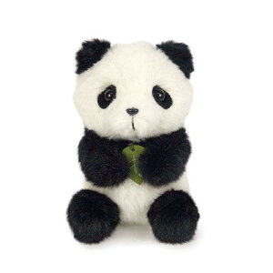 Potte p_ ʂ[z֔zi[ւƃlR|X͕sj]y񂹏iz250222