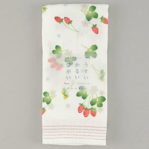 z y{zRebNX 邢Ȃ  Ăʂ^Ii C`S Xgx[ ЖʃK[[ tFCX^I Mtg v[g 蕨 a ̓  j V