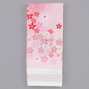 z y{zRebNX 邢Ȃ  Ăʂ^IiTN  ʂ ЖʃK[[ tFCX^I Mtg v[g 蕨 a ̓  j 