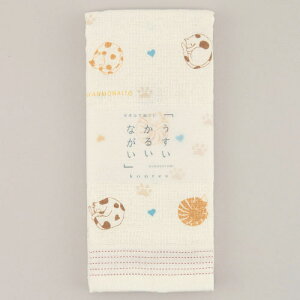 z y{zRebNX 邢Ȃ jiCg Ăʂ^Ii˂ lR L ʂ ЖʃK[[ tFCX^I Mtg v[g 蕨 a ̓  