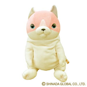 ˂ ʂ pXe L TN n` (L lR Vi_O[o ˂  sN v[g Mtg 蕨)[z֔zi[ւƃlR|X͕sj]