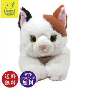 L̂ʂ݁@Ђ˂@M ~PilRjyzykCABnAꌧA͔zsiłz