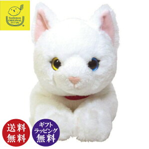 L̂ʂ݁@Ђ˂ M IbhACiL/zCg/lRjyzykCABnAꌧA͔zsiz