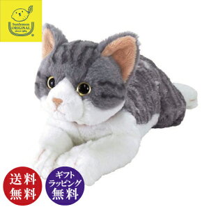 L̂ʂ Ђ˂ M ToV iTog lR  S[hACjykCABnAꌧA͔zsiłz