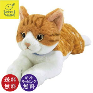 L̂ʂ Ђ˂ M `V i`g g lR  S[hACjykCABnAꌧA͔zsiłz