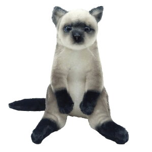 yKiz ZOO ɂ V L ʂ݁iV˂ lR v[g Mtg 蕨 ̓ a V AE i iw jjy񂹏iz