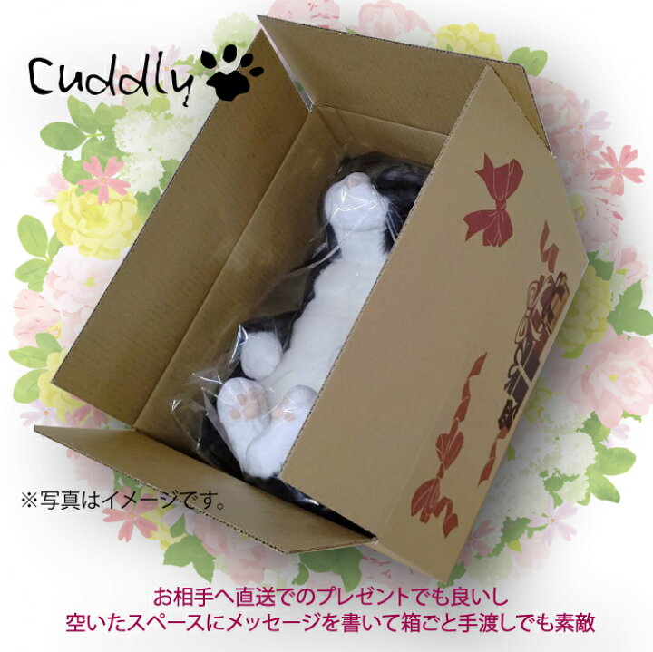 楽天市場】Cuddly(カドリー） ピンカートン 猫 ぬいぐるみ 茶トラ 