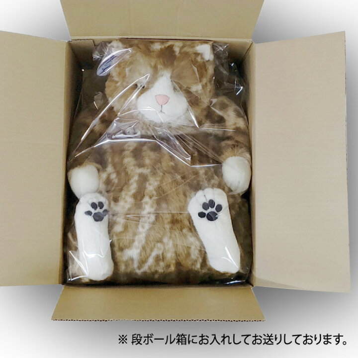 楽天市場】Cuddly(カドリー） ピンカートン 猫 ぬいぐるみ 茶トラ 