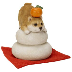 WOOBIA Japan ݏ ČEgL (킢  Ck ˂ lR L u CeA tBMAjy񂹏iz